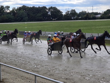 Kasaške dirke julij 2025 (2)